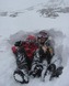 Lewis en Adam in hun sneeuwput