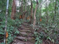 Monk's Trail