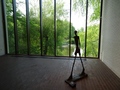 Louisiana Museum of Modern Art: Alberto Giacometti