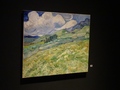 Ny Carlsberg Glyptotek: Van Gogh