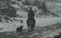 IJslander te paard met hond