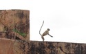 Jaigarh Fort: aapjes