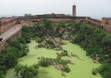 Jaigarh Fort: aapjesvijver