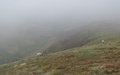 Glenderaterra Valley vanaf Lonscale Fell