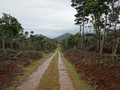 Machabee Trail