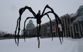 National Gallery of Canada: Maman