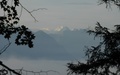 Mönch, Eiger en Jungfrau