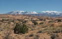 Petrified Dunes met La Sal Mountains