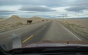 Utah Scenic State Route 128