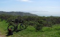 Mountainbiking in de Marin Headlands