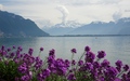 Montreux: Lac Léman