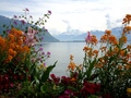 Montreux: Lac Léman