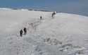 Talrijke wandelaars op weg naar de top